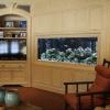 The other side of a 220 gallon saltwater aquarium installed in a room divider. 